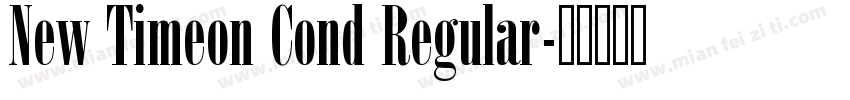 New Timeon Cond Regular字体转换